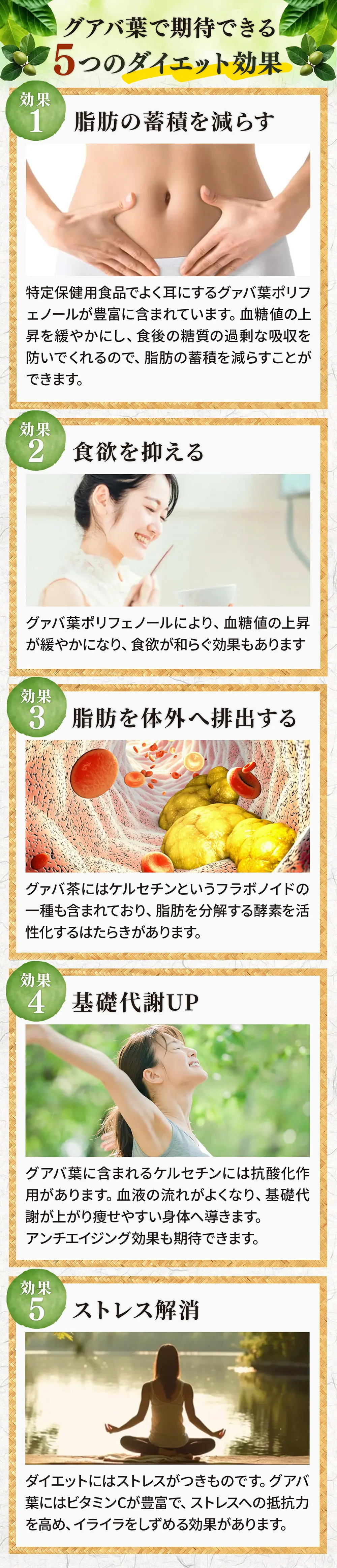 グアバ葉で期待できる5つのダイエット効果!